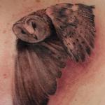 Tattoos - Hedwig - 124941